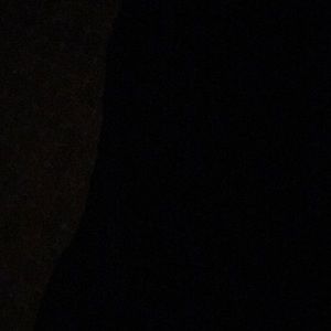 Meet your Posher, Ray